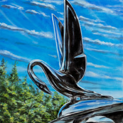 "Packard" 11 x 14" Giclée Signed and Numbered print