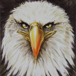 Eagle