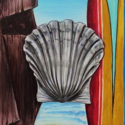 Scallop